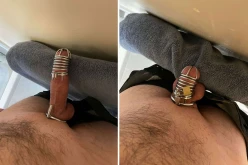 La bête est apprivoisée