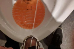 Fallait pas boire autant de bière