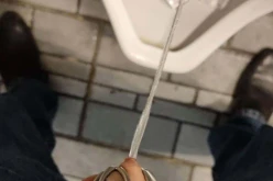 "Qu'est-ce que tu fais ? Montre-moi !"