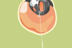 Gars verrouillé #23